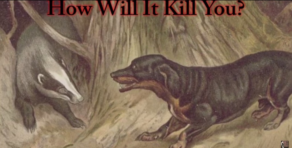 honey_badger_how_will_it_kill_you