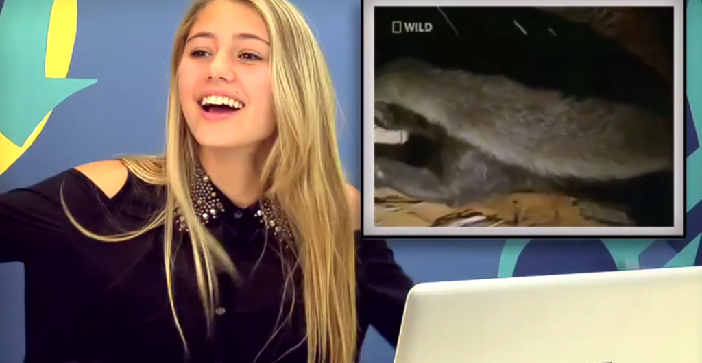 Teens React to Honey Badger